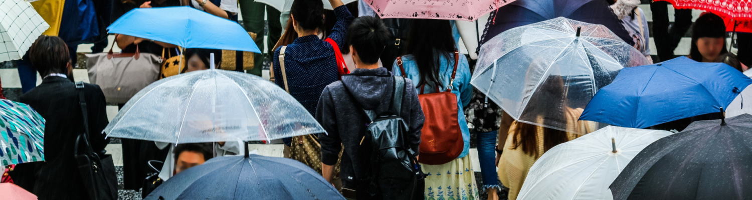 雨の横断歩道の雑踏