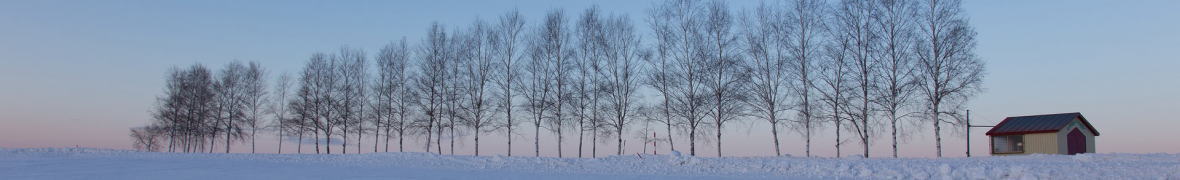 北見 冬の農場風景