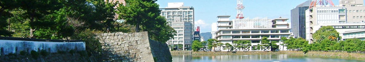 和歌山城と市街