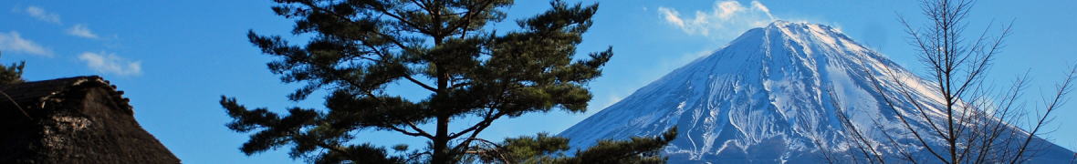 西湖いやしの里根場の富士