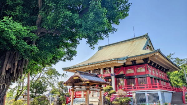 千葉寺 本堂とイチョウの木