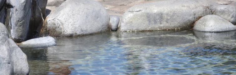 青雲閣の露天風呂