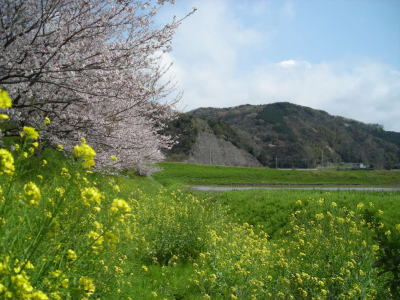 田園風景