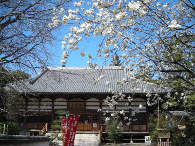 宥勝寺・本堂