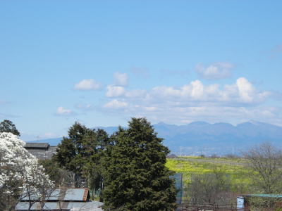 故郷の野山