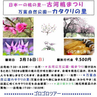 ゴロゴロツアーのチラシ